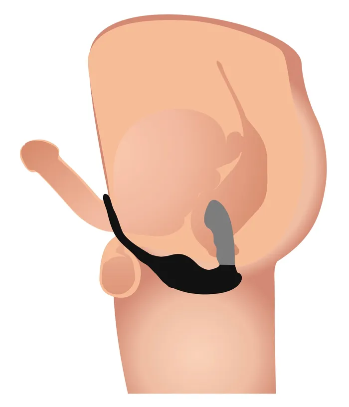 Male Sex Toys XR Brands 7X PStrap Milking and Vibrating Prostate Stimulator with Cock and Ball Harness